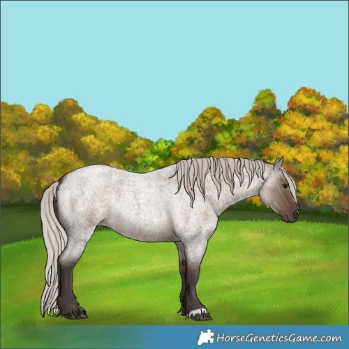 Horse Color:Silver Grullo Roan Rabicano Brindle 