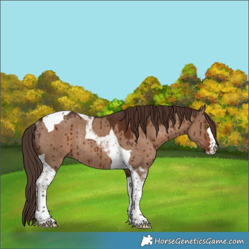 Horse Color:Liver Red Dun Tobiano Rabicano Brindle 