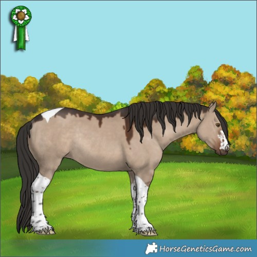 Horse Color:Liver Red Dun Tobiano Rabicano