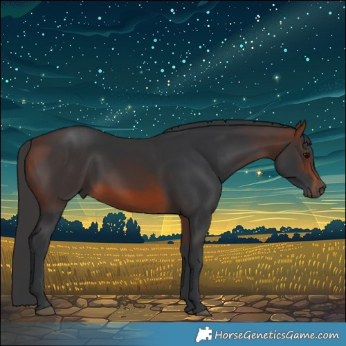 Horse Color:Brown Rabicano 