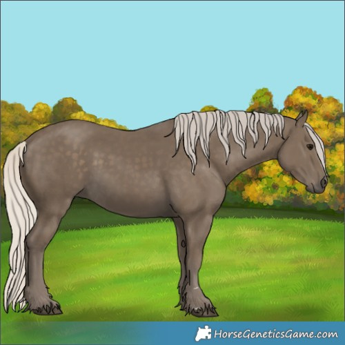 Horse Color:Silver Smoky Black 