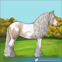 Horse Color:Chocolate Palomino Pearl Tobiano Frame  and Chocolate Palomino Pearl Tobiano Frame 