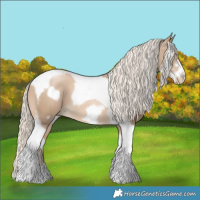 Horse Color:Chocolate Palomino Pearl Tobiano Frame and Chocolate Palomino Pearl Tobiano Frame