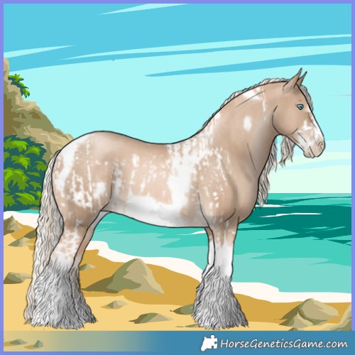 Horse Color:Chocolate Palomino Pearl Tobiano Frame  and Chocolate Palomino Pearl Tobiano Frame 