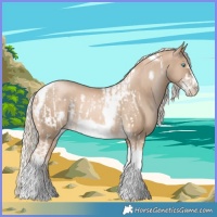 Horse Color:Chocolate Palomino Pearl Tobiano Frame  and Chocolate Palomino Pearl Tobiano Frame 