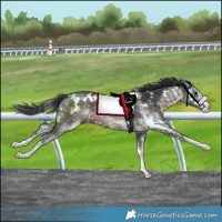 Horse Color:Platinum White Spotted Brown