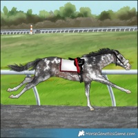 Horse Color:Platinum White Spotted Brown 