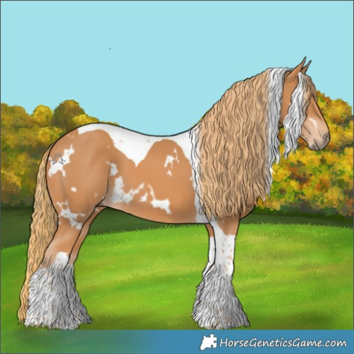 Horse Color:White Spotted Chestnut Tobiano 