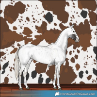 Horse Color:Smoky Blue Roan Blanket  and Gray Palomino Roan Near Leopard 