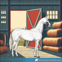 Horse Color:Smoky Blue Roan Appaloosa  and Gray Palomino Roan Appaloosa 