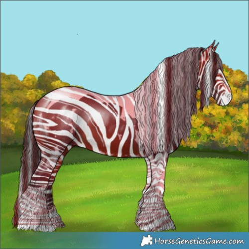 Horse Color:White Spotted Bay Tobiano 