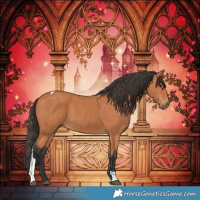 Horse Color:Bay Tobiano
