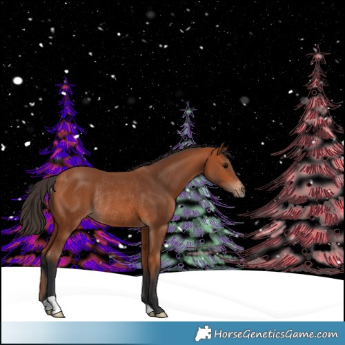 Horse Color:Bay Rabicano