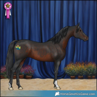 Horse Color:Brown 