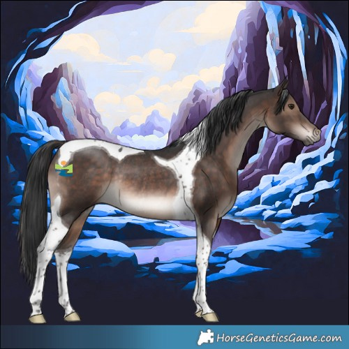 Horse Color:Brown Tobiano Rabicano 