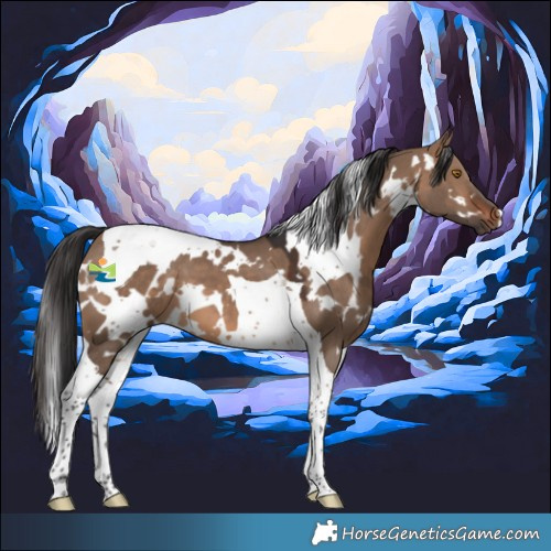 Horse Color:White Spotted Brown Dun Tobiano 
