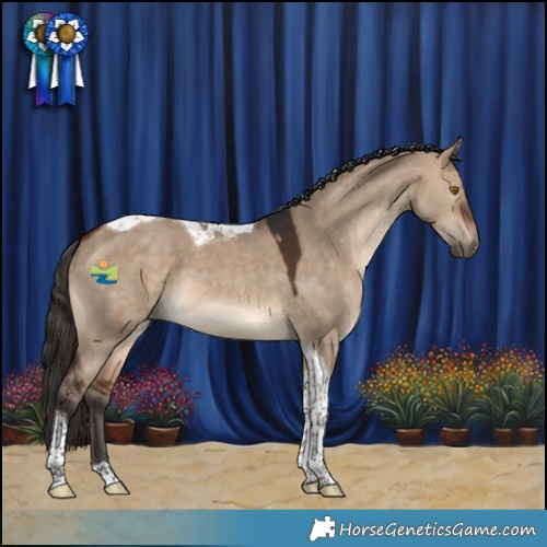 Horse Color:Bay Dun Tobiano 