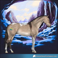 Horse Color:Bay Dun Tobiano 