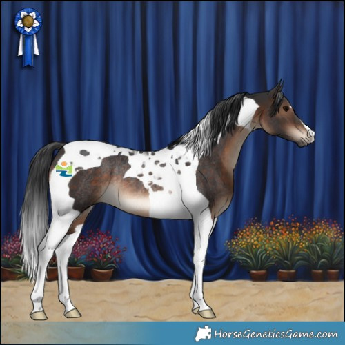 Horse Color:Brown Tobiano Rabicano 