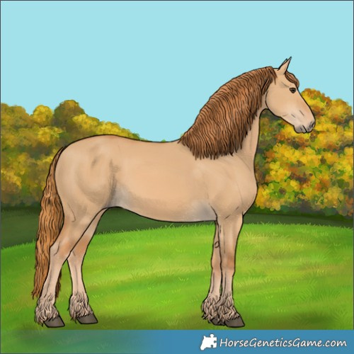 Horse Color:Red Dun 