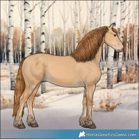 Horse Color:Red Dun 