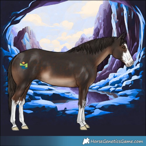 Horse Color:White Spotted Liver Chestnut 