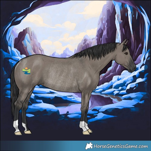 Horse Color:Grullo Rabicano 