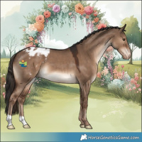 Horse Color:Liver Red Dun Varnish 