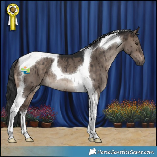 Horse Color:Brown Dun Tobiano Brindle 