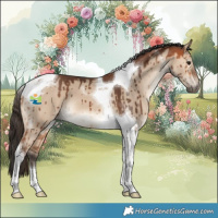 Horse Color:Bay Dun Tobiano Brindle 