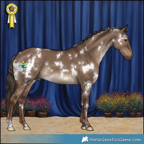 Horse Color:White Spotted Liver Red Dun Brindle 