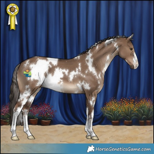 Horse Color:White Spotted Liver Red Dun 