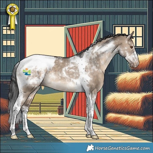 Horse Color:Brown Dun Tobiano Appaloosa