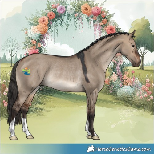 Horse Color:Bay Dun Rabicano 