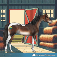 Horse Color:Brown Tobiano Rabicano