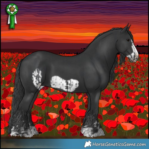 Horse Color:Black  and Black Frame 