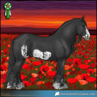 Horse Color:Black  and Black Frame 