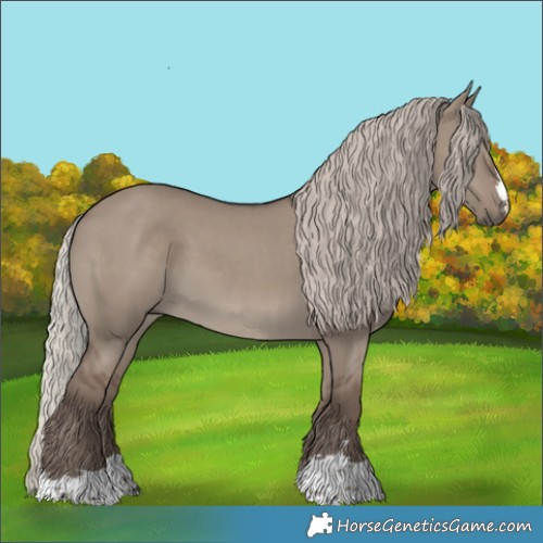Horse Color:Silver Grullo 