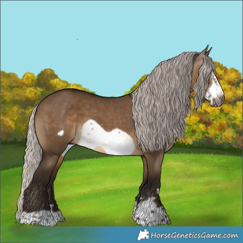 Horse Color:Gray Silver Bay Dun Frame
