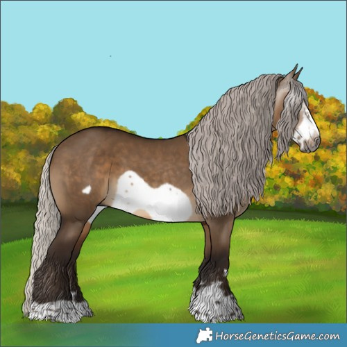 Horse Color:Gray Silver Bay Dun Frame 