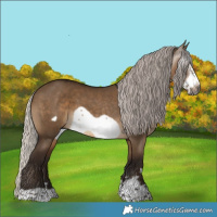 Horse Color:Gray Silver Bay Dun Frame