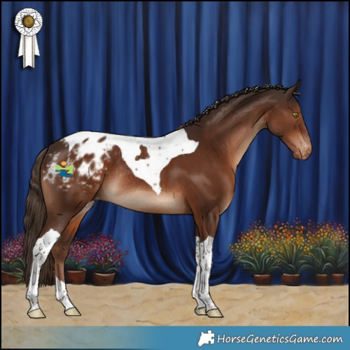 Horse Color:Liver Chestnut Tobiano Appaloosa Rabicano 
