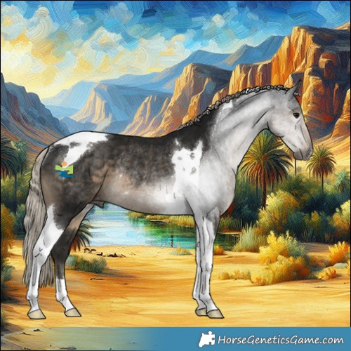 Horse Color:Gray Silver Smoky Black Tobiano Appaloosa Rabicano 