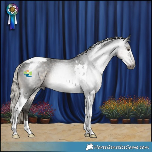 Horse Color:Gray Silver Smoky Black Tobiano Varnish Rabicano 