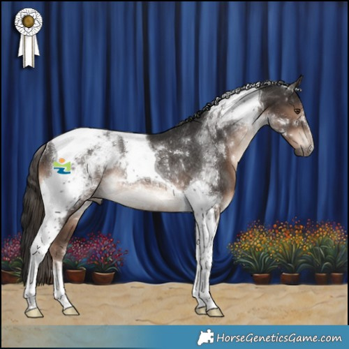 Horse Color:Liver Chestnut Tobiano Rabicano 