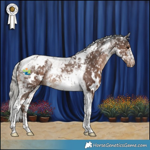 Horse Color:White Spotted Silver Black Tobiano Appaloosa Rabicano 