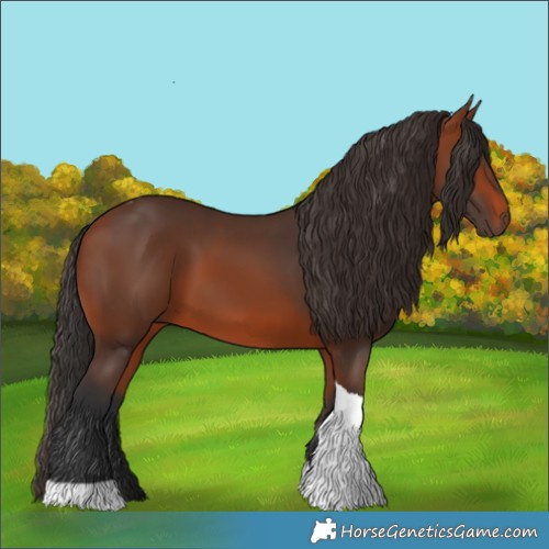 Horse Color:Bay Tobiano 