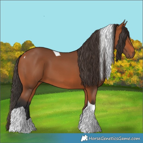 Horse Color:Bay Tobiano 