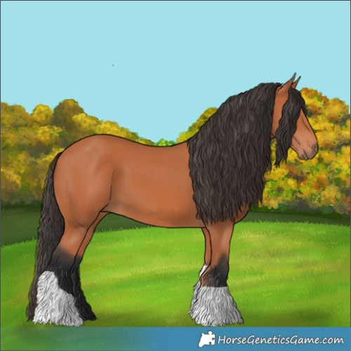 Horse Color:Bay Tobiano 