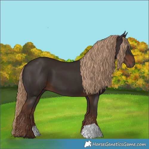 Horse Color:Liver Chestnut 